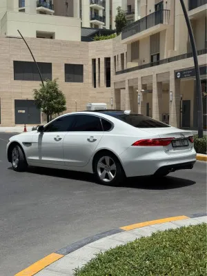 2018 جاكوار اكس اف R-Sport