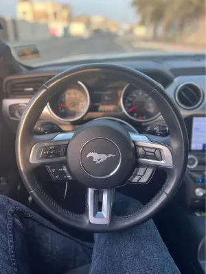 2021 فورد موستانج GT Premium