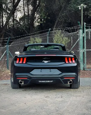 2024 فورد موستانج EcoBoost Convertible