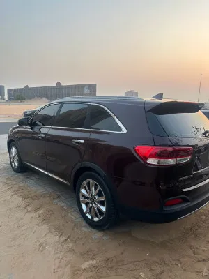 2016 Kia Sorento HyBird