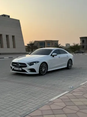 2019 مرسيدس-بنز سي ال اس CLS450