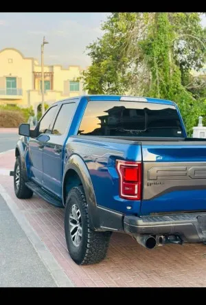 2018 فورد رابتر
