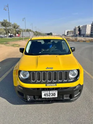 2017 Jeep Renegade Trailhawk