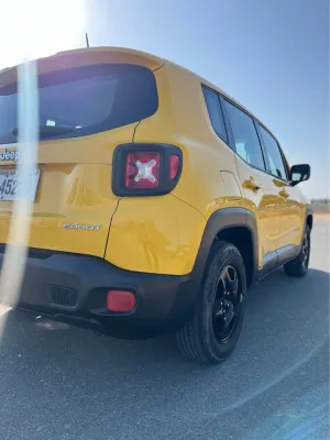 2017 Jeep Renegade Trailhawk