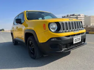 2017 Jeep Renegade Trailhawk