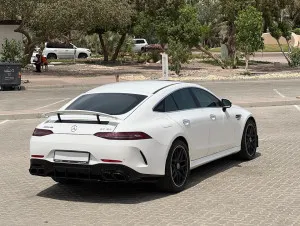 2021 Mercedes-Benz GT No Trim