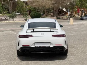 2021 Mercedes-Benz GT No Trim