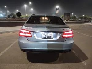 2013 Mercedes-Benz E-Class E 350