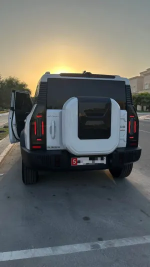 2025 جيتور تي ٢