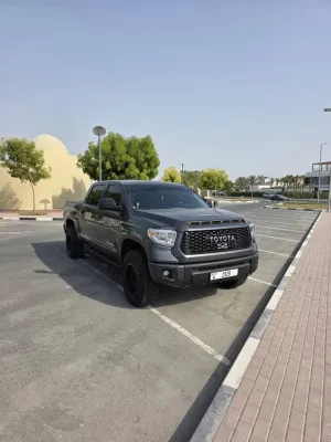 2019 تويوتا تندرا SR