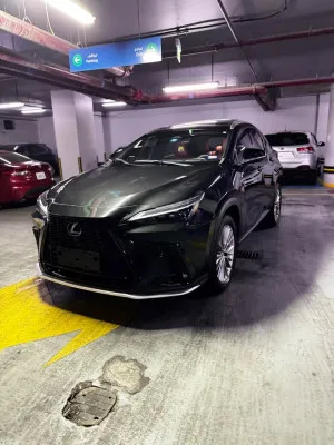 2022 لكزس NX - ان اكس NX250