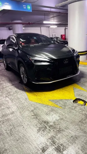 2022 لكزس NX - ان اكس NX250