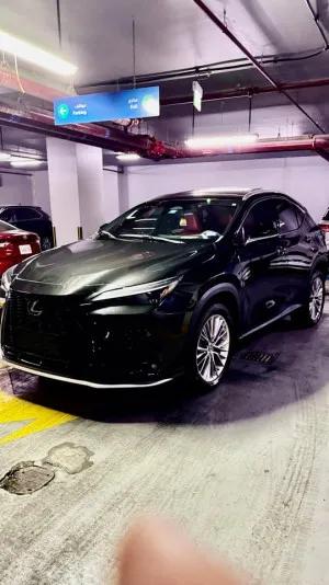 2022 لكزس NX - ان اكس NX250