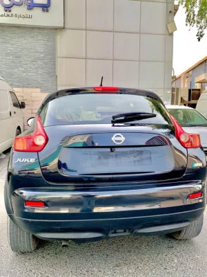 2014 Nissan Juke S