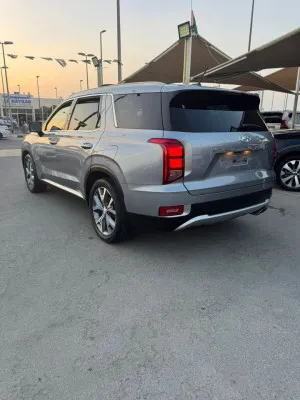 2020 Hyundai Palisade SE