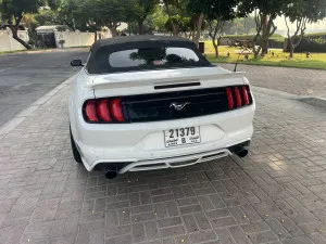2018 فورد موستانج EcoBoost Convertible
