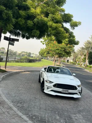 2018 فورد موستانج EcoBoost Convertible
