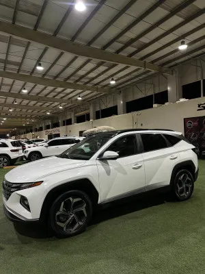 2022 Hyundai Tucson N Line