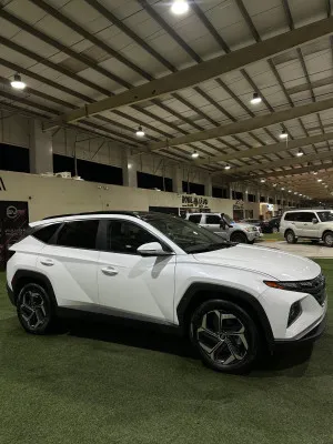 2022 Hyundai Tucson N Line