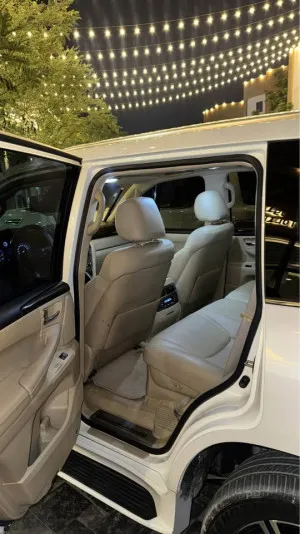 2010 Lexus LX 570
