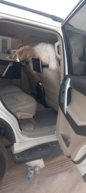 2012 Toyota Prado GR