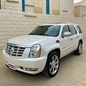 2010 كاديلاك اسكاليد Luxury