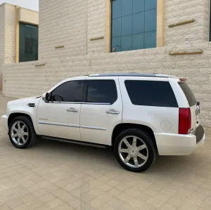 2010 كاديلاك اسكاليد Luxury