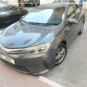2019 تويوتا كورولا SE