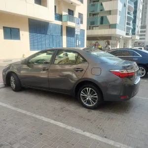 2019 تويوتا كورولا SE