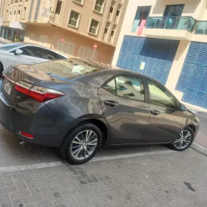2019 تويوتا كورولا SE