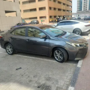 2019 تويوتا كورولا SE