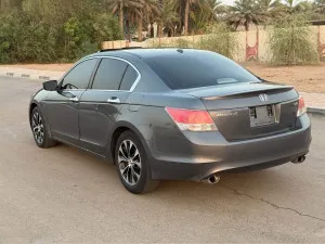 2010 Honda Accord DX
