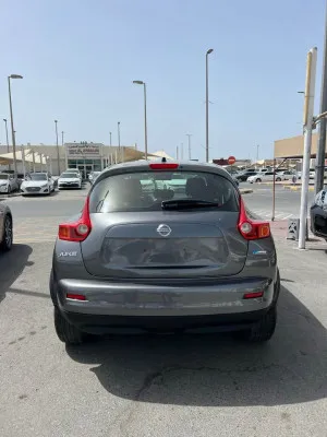 2014 نيسان جوك S