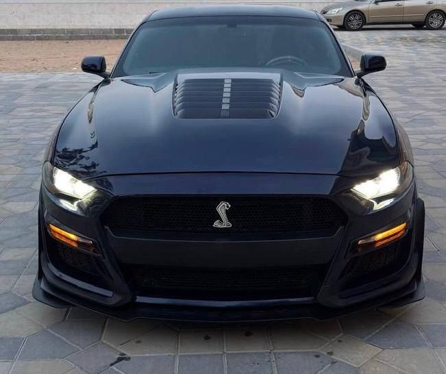 2019 فورد موستانج EcoBoost Fastback