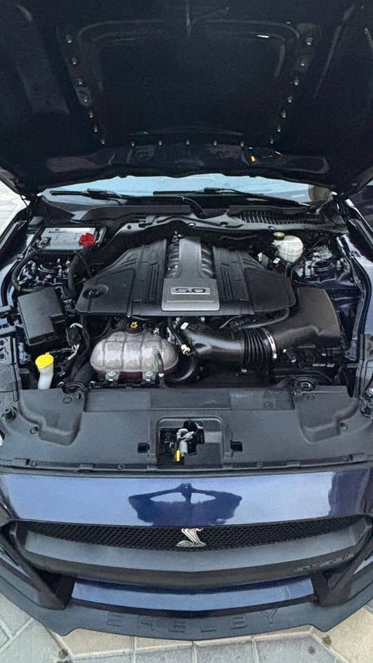 2019 فورد موستانج EcoBoost Fastback