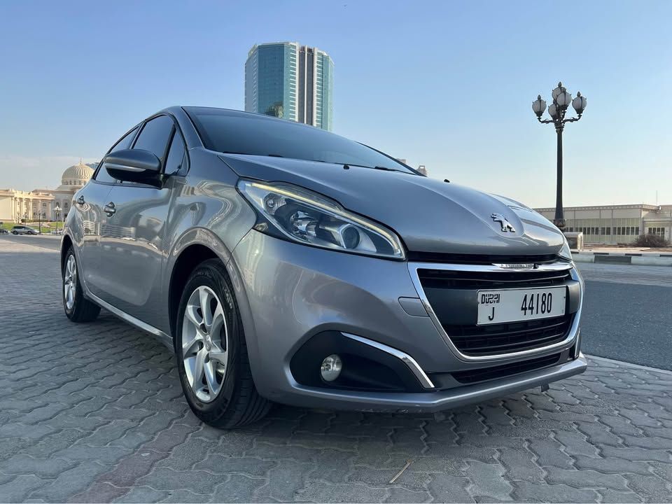 2019 Peugeot 206 RC