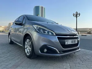 2019 Peugeot 206 RC