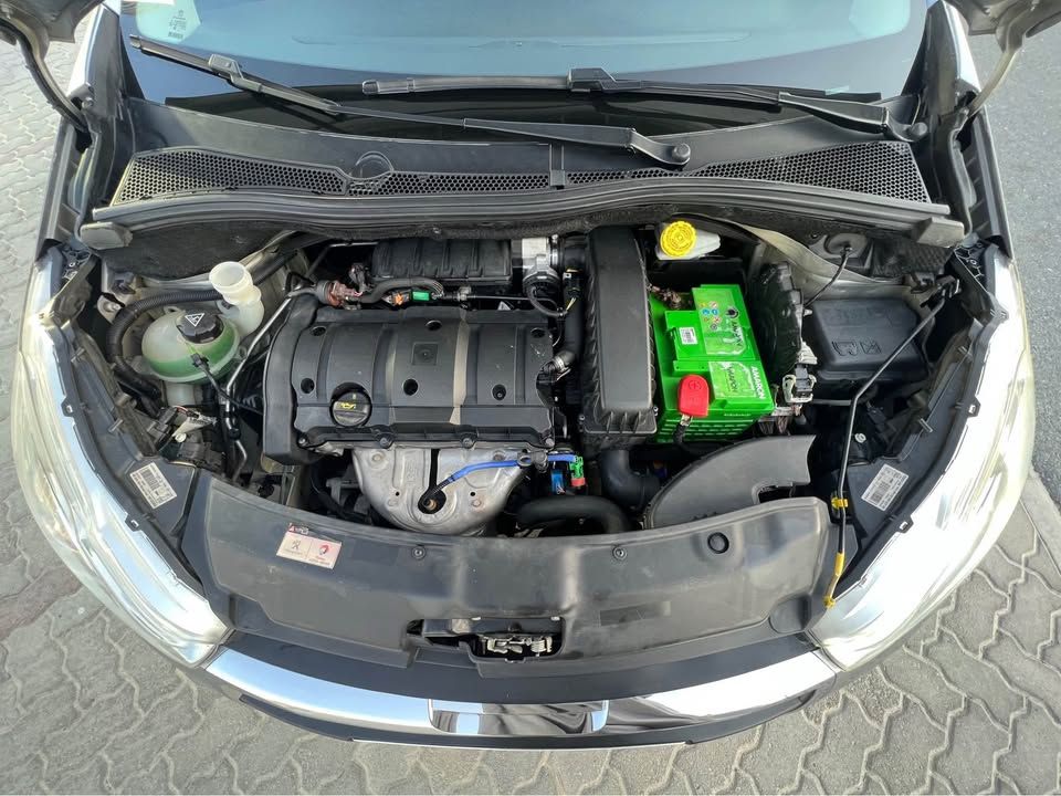 2019 Peugeot 206 RC