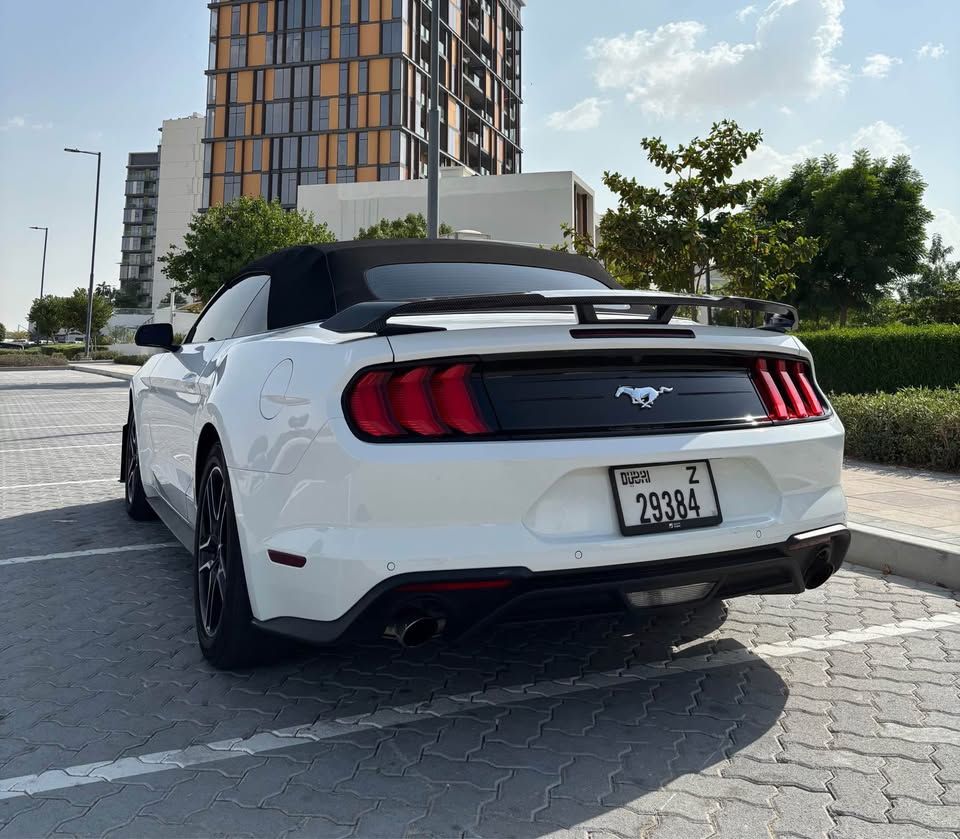 2022 فورد موستانج EcoBoost
