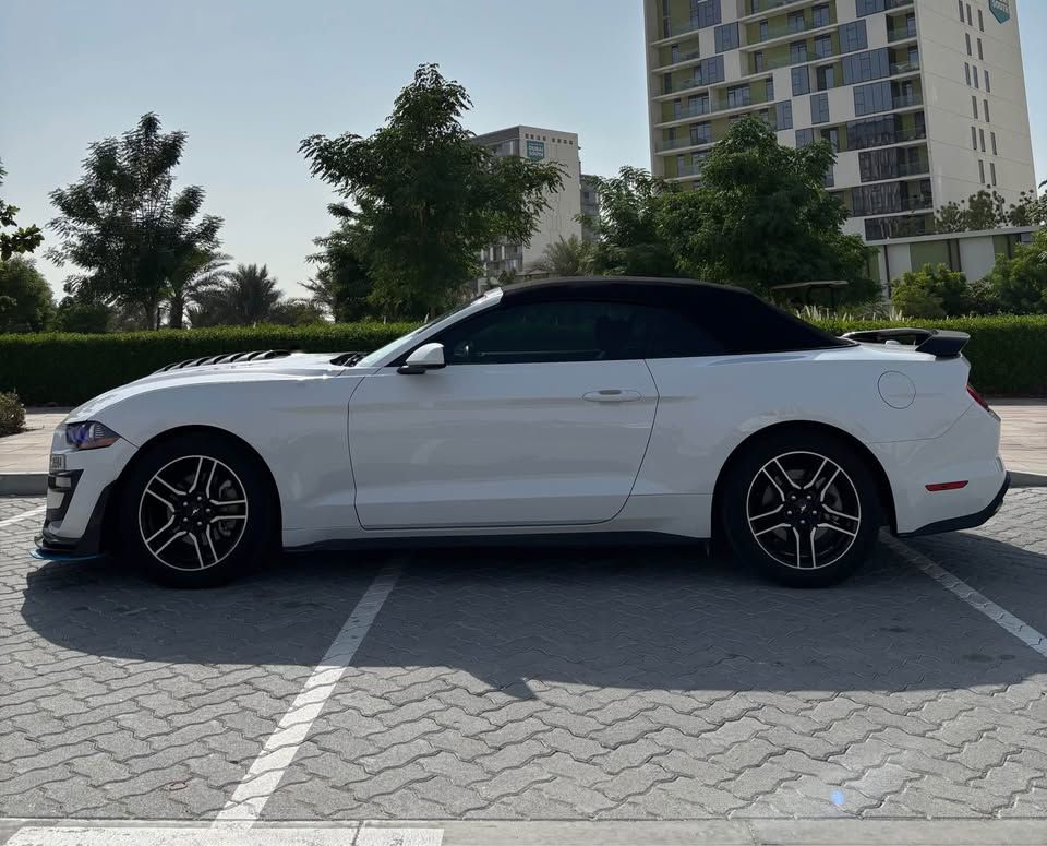 2022 فورد موستانج EcoBoost