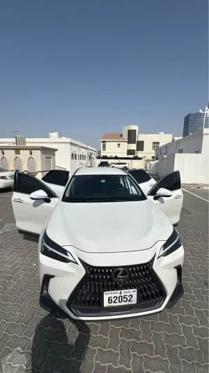 2024 لكزس NX - ان اكس NX200