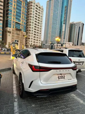 2024 لكزس NX - ان اكس NX200