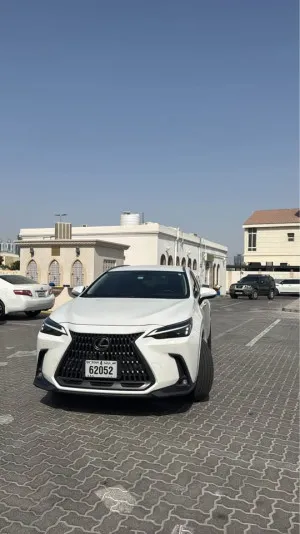 2024 لكزس NX - ان اكس NX200