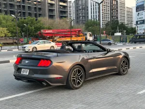 2018 فورد موستانج EcoBoost