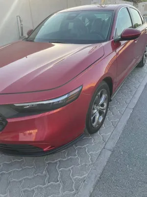 2025 هوندا أكورد Sport