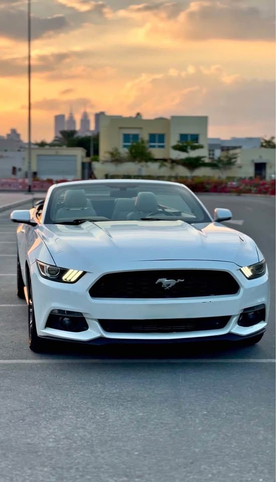 2017 فورد موستانج EcoBoost Premium