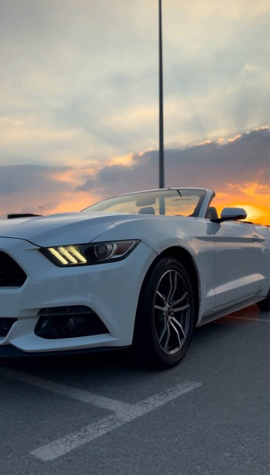 2017 فورد موستانج EcoBoost Premium