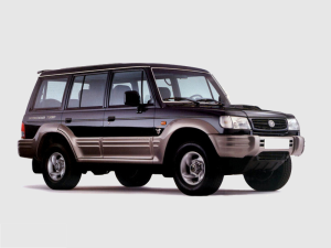 Hyundai Cruiser