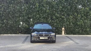 2014 BMW 5-Series 520i