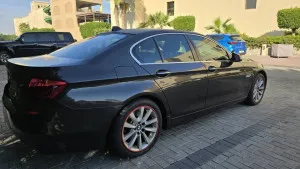 2014 BMW 5-Series 520i